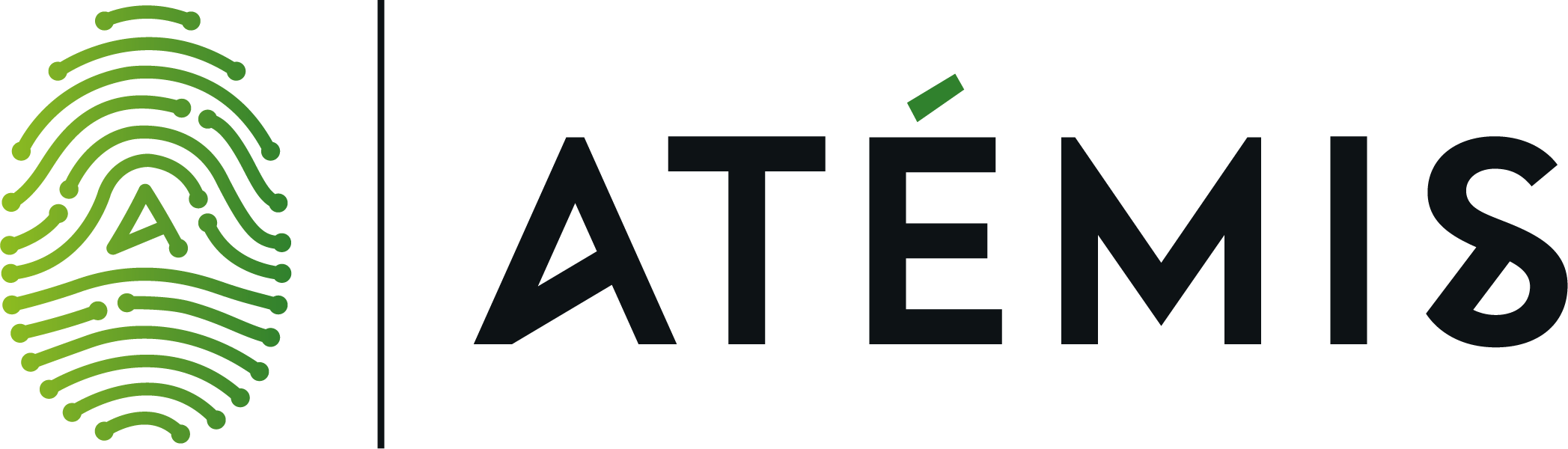 Logo_ATEMIS_HD_Horizontal_transparent_2095x600